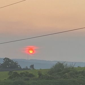 Meet your Posher, Mae